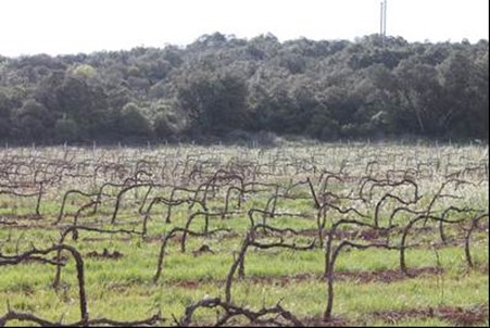 inquiètante expllosion des vols à seillons inquiètante expllosion des vols à seillons