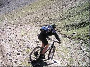 Vieux cochons seillonnais Vieux cochons seillonnais