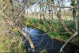 fleuve Argens fleuve Argens