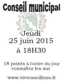 conseil municipal 20150625-mini