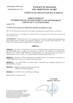 207 clemenciere - mini